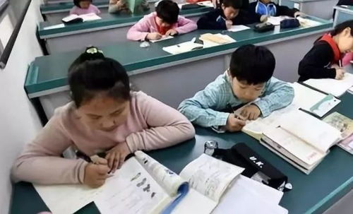 中小學課后服務全面鋪開，教育咨詢助力家長滿意度提升